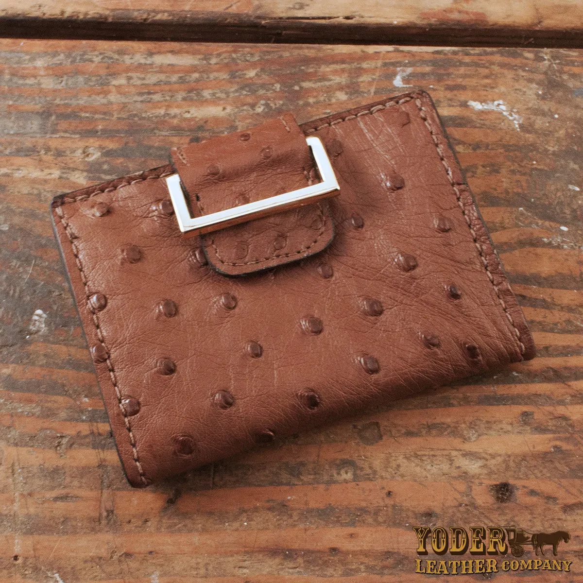 Ostrich Women's Wallet [Limited Edition]
